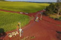Paraná Trifásico abre espaço para agropecuária crescer mais