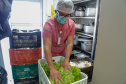 O Governo do Estado vai fornecer alimentos a 907 entidades sociais por meio do programa Compra Direta Paraná. A primeira entrega aconteceu nesta terça-feira (23) para a Santa Casa de Curitiba. Foto Gilson Abreu/AEN
