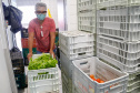 O Governo do Estado vai fornecer alimentos a 907 entidades sociais por meio do programa Compra Direta Paraná. A primeira entrega aconteceu nesta terça-feira (23) para a Santa Casa de Curitiba. Foto Gilson Abreu/AEN