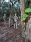 Reforço da presença da PM na Ilha do Mel inibe tráfico de drogas e invasão de áreas de proteção ambiental
. Foto:PMPR