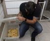 PCPR resgata cerca de 400 animais no primeiro semestre de 2020
. Foto:PCPR