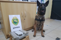 A Operação Metrópolis, ação conjunta entre as forças de segurança da região Oeste, resultou em 281 prisões e 61 mandados de Prisão cumpridos, além de 3,9 toneladas de drogas e 25 armas de fogo retiradas de circulação, entre os dias 26 de junho até esta segunda-feira (06/07). Foto:SESP