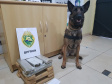Com ajuda de cães, PM apreende mais de 38 toneladas de maconha
. Foto:SESP