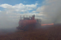 Prazo para a suspensão da queima controlada de cana-de-açúcar no Paraná é adiado
. Foto:SEDEST