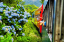 Caminho de Itupava terá complexo de recepção ao turista.Foto:SEDEST