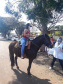 Escolas estaduais fazem entrega de material impresso por drive-thru. Foto:SEED