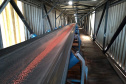 Ipem-PR faz calibração das balanças do corredor de exportação
.Foto:Ipem