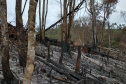 A quarta edição da Operação Mata Atlântica em Pé, organizada pelo Ministério Público, com apoio do Batalhão de Polícia Ambiental Força-Verde (BPAmb-FV), do Instituto Água e Terra (IAT) e do Ibama, foi encerrada após 14 dias de ações em todo o Paraná. Foto:SESP