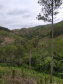 A quarta edição da Operação Mata Atlântica em Pé, organizada pelo Ministério Público, com apoio do Batalhão de Polícia Ambiental Força-Verde (BPAmb-FV), do Instituto Água e Terra (IAT) e do Ibama, foi encerrada após 14 dias de ações em todo o Paraná. Foto:SESP