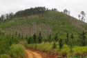 A quarta edição da Operação Mata Atlântica em Pé, organizada pelo Ministério Público, com apoio do Batalhão de Polícia Ambiental Força-Verde (BPAmb-FV), do Instituto Água e Terra (IAT) e do Ibama, foi encerrada após 14 dias de ações em todo o Paraná. Foto:SESP