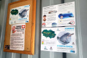 O cuidado com animais marinhos que vivem na área dos portos de Paranaguá e Antonina é o tema de uma nova campanha da Portos do Paraná. A empresa pública, em conjunto com a Cia Ambiental, desenvolveu uma cartilha para orientar embarcações sobre como agir ao encontrar grupos de botos-cinza durante a navegação.