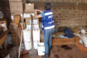 Adapar esclarece regras sobre o uso do Paraquat na safra 2020/21. Foto:SEAB