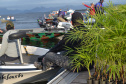 O Projeto Rio Vivo da Secretaria de Desenvolvimento Sustentável e do Turismo (Sedest) foi retomado no sábado (24), em Guaratuba, com o Festival Sul Brasileiro de Pesca. A iniciativa busca a preservação das bacias hidrográficas do Estado com o repovoamento de espécies de peixes nativos e o estímulo do turismo de atividades aquáticas.
Foto; Daniele Iachecen