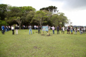 Governo do Estado faz plantio de mudas de araucária. Foto: Ari Dias/AEN