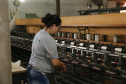 FEITO NO PARANA - Casulo Feliz empresa de Maringa que produz  fio de seda  de forma manual, aproveitando os casulos impróprios para a indústria e também reciclando os subprodutos dessa mesma matéria-prima.07/10/2020 - Foto: Geraldo Bubniak/AEN