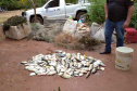 Força-tarefa salva matrizes de peixes e garante repovoamento dos rios. Foto:IAT