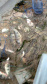 Força-tarefa salva matrizes de peixes e garante repovoamento dos rios. Foto:IAT