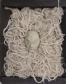 MON apresenta exposição da artista Vera Martins.