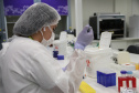 Equipamento amplia a capacidade prática de exames de DNA do Laboratório de Genética Molecular Forense e foi doado pela Secretaria Nacional da Segurança Pública do Ministério da Justiça.
Foto: SESP PR