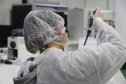 Equipamento amplia a capacidade prática de exames de DNA do Laboratório de Genética Molecular Forense e foi doado pela Secretaria Nacional da Segurança Pública do Ministério da Justiça.
Foto: SESP PR