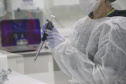 Equipamento amplia a capacidade prática de exames de DNA do Laboratório de Genética Molecular Forense e foi doado pela Secretaria Nacional da Segurança Pública do Ministério da Justiça.
Foto: SESP PR
