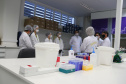 Equipamento amplia a capacidade prática de exames de DNA do Laboratório de Genética Molecular Forense e foi doado pela Secretaria Nacional da Segurança Pública do Ministério da Justiça.
Foto: SESP PREquipamento amplia a capacidade prática de exames de DNA do Laboratório de Genética Molecular Forense e foi doado pela Secretaria Nacional da Segurança Pública do Ministério da Justiça.
Foto: SESP PR