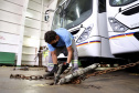 O maior embarque de ônibus da história do Porto de Paranaguá acontece nesta sexta-feira (13). Em um único lote, o navio Maestro Universe volta carrega 155 unidades. Os veículos de transporte coletivo serão levados para os portos de Boma, no Congo, e Luanda, em Angola. A previsão é que zarpe para a África no início da tarde. A viagem deve durar entre dez e 13 dias até os destinos. Foto: Claudio Neves