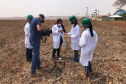 Projeto de reflorestamento com minifoguetes é finalista de prêmio científico nacional. Foto:SEED