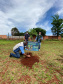 Com mudas do IAT, Parque das Torres é reflorestado em Campo Mourão. Foto: IAT