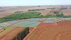 Maripá. Produção de tilápia. Foto: Alessandro Vieira/AEN
