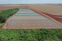Palotina.Produção de tilápia. Foto: Alessandro Vieira/AEN