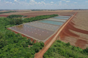 Palotina.Produção de tilápia. Foto: Alessandro Vieira/AEN