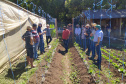 IDR-Paraná usa a internet capacitação conjunta em agricultura orgânica. Foto: IDR