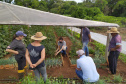 IDR-Paraná usa a internet capacitação conjunta em agricultura orgânica. Foto: IDR