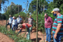 IDR-Paraná usa a internet capacitação conjunta em agricultura orgânica. Foto: IDR