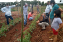 IDR-Paraná usa a internet capacitação conjunta em agricultura orgânica. Foto: IDR