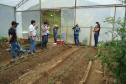 IDR-Paraná usa a internet capacitação conjunta em agricultura orgânica. Foto: IDR