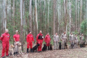 Bombeiros promovem certificação estadual de cães de busca e resgate. Foto: SESP