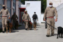 Bombeiros promovem certificação estadual de cães de busca e resgate. Foto: SESP