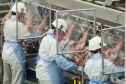 Com sede em Castro, a Alegra abate 3200 suínos por dia e produz cerca de 140 toneladas de produtos diariamente, o que leva a uma média mensal de 3300 toneladas de carnes industrializadas por mês.