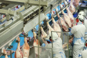 Com sede em Castro, a Alegra abate 3200 suínos por dia e produz cerca de 140 toneladas de produtos diariamente, o que leva a uma média mensal de 3300 toneladas de carnes industrializadas por mês.