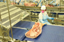 Com sede em Castro, a Alegra abate 3200 suínos por dia e produz cerca de 140 toneladas de produtos diariamente, o que leva a uma média mensal de 3300 toneladas de carnes industrializadas por mês.
