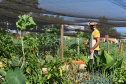 Cultivar Energia doa materiais para horta em Maringá. Foto: Copel