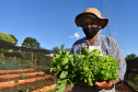 Cultivar Energia doa materiais para horta em Maringá. Foto: Copel