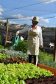 Cultivar Energia doa materiais para horta em Maringá. Foto: Copel