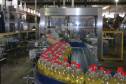 FEITO NO PARANA - Coamo cooperativa agro-industrial , a maior cooperativa da América Latina, com sede em Campo Mourão. Tem na linha alimentícia as marcas Primê, Sollus, Dualis e Anniela produz óleo de soja refinado, café torrado e moído, margarinas, farinha de trigo e gordura vegetal hidrogenada. 09/10/2020 - Foto: Geraldo Bubniak/AEN