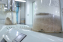 Em Ponta Grossa, o moinho Herança Holandesa, do grupo Unium - que reúne as cooperativas Frísia, Castrolanda e Capal - foi pensado para produzir farinhas especiais para linhas industriais do mercado B2B, como é conhecida a produção para outras marcas.
No entanto, em 2017, a empresa investiu em tecnologia, ampliou seu mix e iniciou a produção de farinhas para uso doméstico.