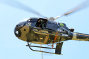 Atividades são promovidas regularmente para que os profissionais estejam prontos para dar suporte às equipes da PM e do Corpo de Bombeiros em operações, radiopatrulhamento aéreo, resgates e remoções aeromédicas.
Foto: SESP