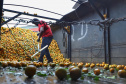 Há cerca de cinco anos a Garoto entrou no mercado de sucos naturais e tem visto os negócios prosperarem. Hoje, o suco Viva Feliz é encontrado nas gôndolas de todo o Sul, Sudeste e parte do Centro-Oeste do Brasil.
