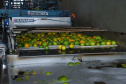 Há cerca de cinco anos a Garoto entrou no mercado de sucos naturais e tem visto os negócios prosperarem. Hoje, o suco Viva Feliz é encontrado nas gôndolas de todo o Sul, Sudeste e parte do Centro-Oeste do Brasil.
